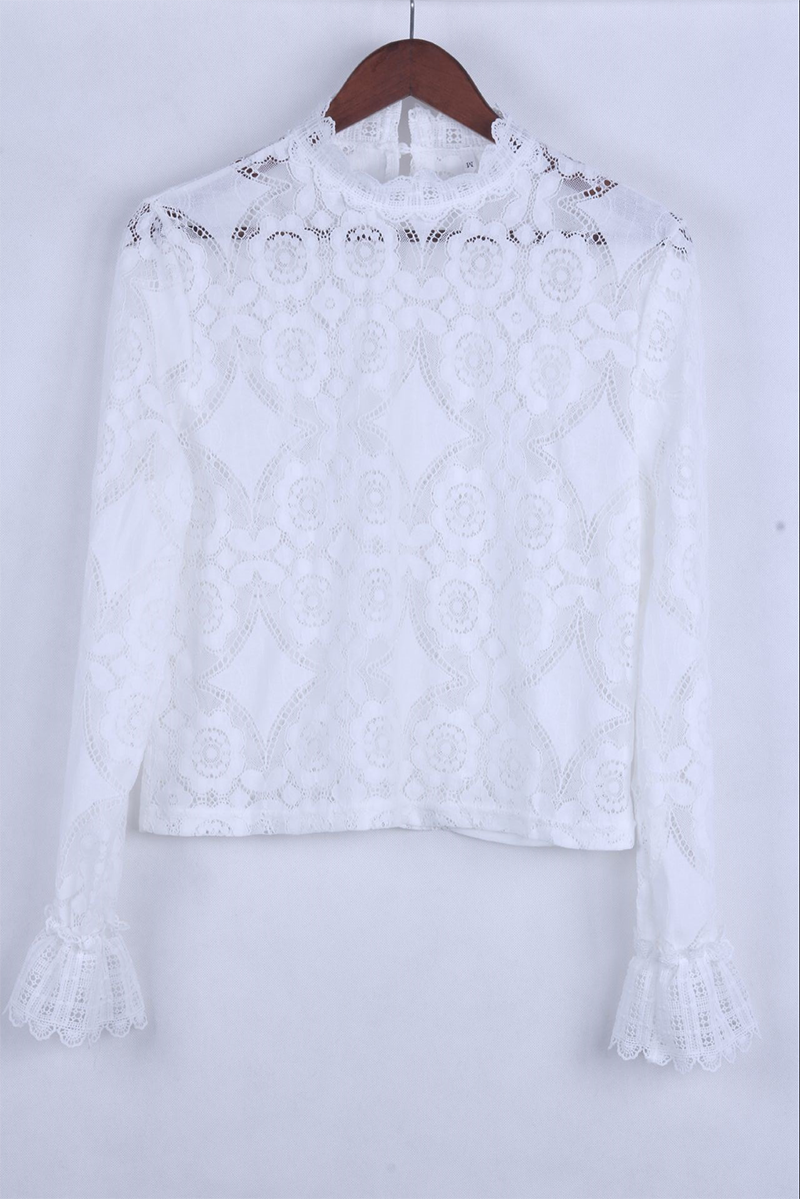 Casual Solid Lace Half A Turtleneck Tops